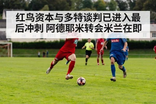 红鸟资本与多特谈判已进入最后冲刺 阿德耶米转会米兰在即